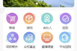 php虚拟币区块链挖矿系统源码 带商城/签到/推广 可封装app