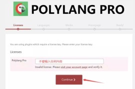 WordPress多语言自动翻译插件Polylang Pro插件激活版v3.1.2版本 