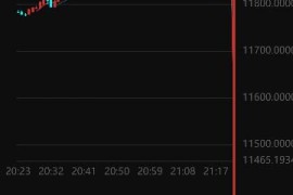 最新二开华为5G微盘系统源码 K线正常+独家教程