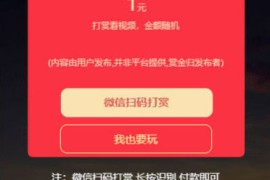 php全开源视频传输打赏程序源码附带多种支付接口任选选择