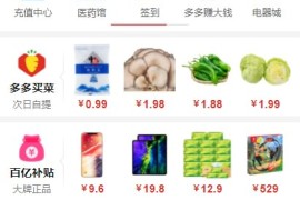 仿PDD拼团系统/微信拼团系统源码 全功能商业版+参数/配置文档