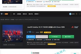 WordPress Ripro主题下载信息美化插件Riprodl v1.3.6下载