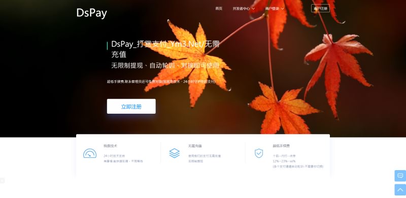 PHP聚合支付源码下载-DSpay个码免签支付源码 带监控app 多个支付通道自动轮训 代付-图1