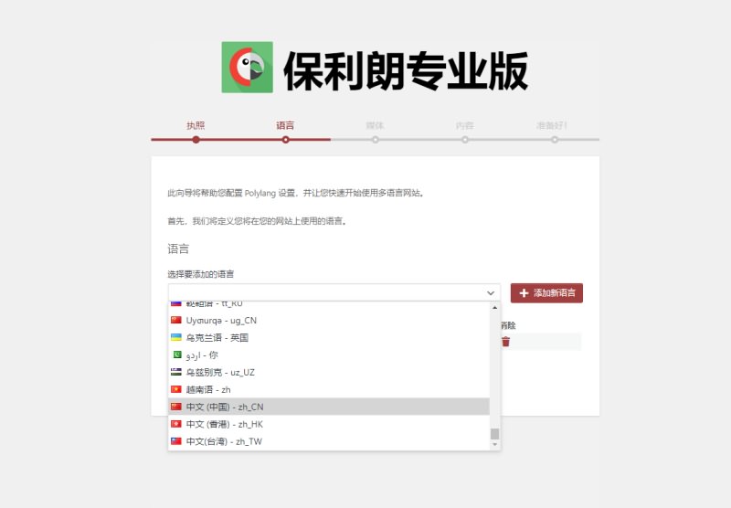 Polylang Pro插件激活版v3.1.1-WordPress多语言插件翻译插件下载-图2